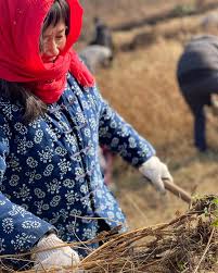 Fanny Xu (@luhefootwear_fanny) • Instagram photos and videos