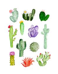 Follow along here to create your watercolor cactus art print. Cacti Study By Shannon Kirsten Buddy Editions Watercolour Inspiration Watercolor Art Watercolor Paintings