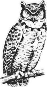 Maybe you would like to learn more about one of these? Pin On Wood Burning Patterns