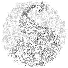 Easy peacock mandala coloring pages. Peacock Coloring Page Stock Illustrations 432 Peacock Coloring Page Stock Illustrations Vectors Clipart Dreamstime