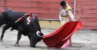 Volvió a triunfar Paco en Armenia - La Crónica del Quindío - Noticias  Quindío, Colombia y el mundo