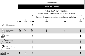 Download  campus drivers tome 1 pisode 1 supermad  book at link below. High Protein Plant Based Diet Versus A Protein Matched Omnivorous Diet To Support Resistance Training Adaptations A Comparison Between Habitual Vegans And Omnivores Springerlink