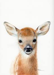 Original Watercolor Fawn Deer Wall Art Nursery Decor Animal Etsy In 2020 Deer Wall Art Woodland Animal Wall Art Woodland Animal Nursery Theme