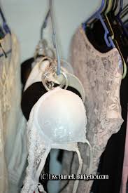 Repurposing Shower Curtain Hooks Diy Organization Tips Budget101 Com Bra Storage Organization Bedroom Diy Hooks