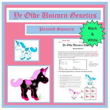 Punnett square the punnett square is a diagram designed by reginald punnett and used by biologists to determine the probability of an offspring typical dihybrid cross. Punnett Squares Punnett Square Mendelian Genetics Activity Punnet Squares Dihybrid Cross Dihybrid Cross Worksheet Genetics Activities