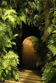 Archway In Pukekura Park New Plymouth North Island Nz With Images Beautiful Gardens Dream Garden Hidden Garden
