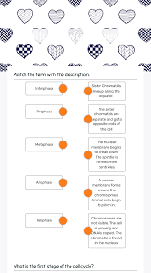 Since the cell wall is so important for bacteria, how could a bacterium possibly survive penicillin treatment?. Mitosis Worksheet Interactive Worksheet By Carly Lide Wizer Me