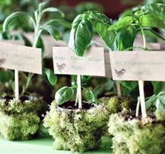 Può trattarsi di una scatolina con un cadeau, un ramo floreale, un fiore, un semplice. Piantine Segnaposto Matrimonio