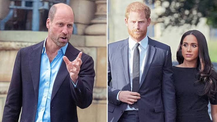 Prince William 'Has Found No Resistance' On Stripping Prince Harry and Meghan  Markle of Royal Titles