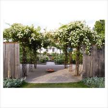 Access to modern roses database is available to everyone through an annual subscription and is membership benefit available to all american rose. Beautiful Contemporary Rose Garden In Sweden London Garden Contemporary Garden Outdoor Landscaping