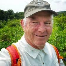 Can the Eversense 365 be installed somewhere other than the arm?