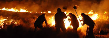 Este hecho ha sido provocado por las altas temperaturas y la fuerte sequía que se vive en la región. Incendios Forestales En Catamarca Y Entre Rios Bomberos Voluntarios De Argentina