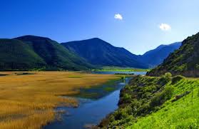 Αποτέλεσμα εικόνας για φενεοσ