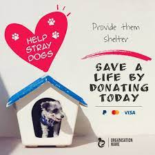 Animal Shelter Donation Drive Ad Animal Shelter Donations Animal Shelter Animal Donations