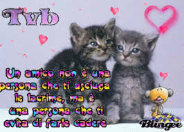 Auguri buon compleanno ad una persona speciale. Ti Voglio Bene Amica Mia Non Solo Musica E Ricette Ti Voglio Bene Amici Auguri Di Buon Compleanno