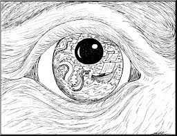 Printout label the eye diagram. Coloring Pages Of A Eye Novocom Top