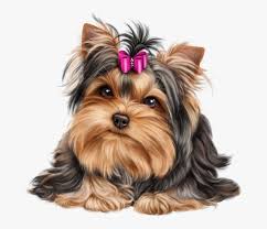 Download Vector Head Yorkie Dog Yorkshire Terrier Svg Transparent Cartoon Free Cliparts Silhouettes Netclipart SVG Cut Files