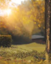 Top 50 Atharv Raut Background Full Hd Download 2020 In 2020 Best Background Images Blurred Background Photography Background Images This flattening of space is one. pinterest
