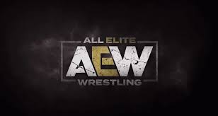Austin is a promising talent and might do better out of the shadow of his father in aew. Aew And Eurosport India Announce New Tv Deal