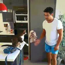 What to watch latest trailers imdb originals imdb picks imdb podcasts. Best Gifs Today Funny Gif High Five Hi Five