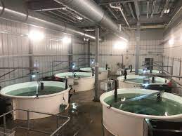 Now $53 (was $̶8̶7̶) on tripadvisor: Fish Are Swimming In Florida S First Salmon Farm