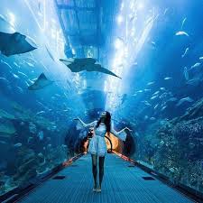 Travel Insurance Options For Traveling Abroad Dubai Travel Dubai Aquarium Travel Photography Inspiration