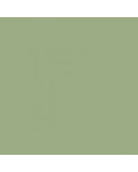 Image result for Palmetto Green 1969 Cadillac