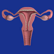 Light at the end of the tunnel. Indian Diet Plan After Hysterectomy Surgery Foods To Eat And Avoid For Recovery Dietburrp