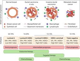 Apart from skin cancers, breast cancer is the invasive, or infiltrating, lobular carcinoma (ilc) is the second most common form of breast cancer. What Are The 10 Different Types Of Breast Cancer