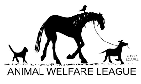 Adopt a dog or adopt a cat and you'll have a friend for life. Animal Welfare League In Chicago Ridge Partially Closes Due To Respiratory Illness Among Dogs Abc7 Chicago
