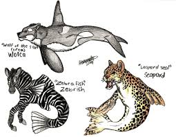 Hybrid Drawings Animal Drawings Animal Sketches Animals