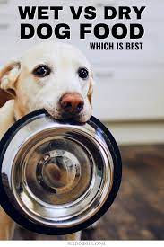 Which Is Best Wet Dog Food Or Dry Dog Food Dog Food Delivery Dog Food Recipes Dry Dog Food
