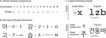 Click here to get our free app & more free lessons at koreanclass101: Testing Stimuli A Twenty Four Basic Korean Components Including 14 Download Scientific Diagram