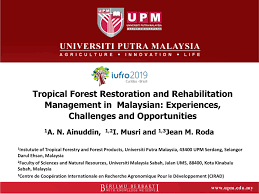 Universiti malaysia sabah logo university brand, others png. Pdf Tropical Forest Restoration And Rehabilitation Management In Malaysian Experiences Challenges And Opportunities