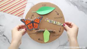 Download Butterfly Life Cycle Craft With Free Template The Best Ideas For Kids