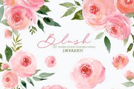 Check spelling or type a new query. Watercolor Floral Clipart Blush Pink Rose Png Summer Rose 1209317 Illustrations Design Bundles