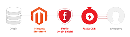 Add the fastly_cdn module to the magento server. Magento Commerce Vs Magento Open Source Complete Comparison