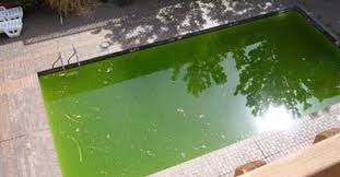 Traitement Choc Piscine Pourquoi Quand Comment