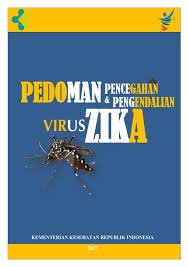 Virus ini terutama disebarkan oleh nyamuk, dan khususnya nyamuk nyamuk aedes.tanda dan gejala infeksi virus zika bisa menjadi samar dan tampak seperti banyak jenis infeksi virus lainnya. Pdf Pedoman Pencegahan Dan Pengendalian Virus Zika