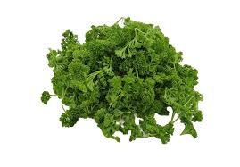 (no contable) planta herbácea de hojas trifoliadas aromáticas y flores en. Perejil Sin Raiz Vive Agro