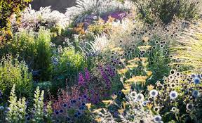 Multi International Award Winning Garden Photographer Won Inaugural International Garden Photographer Of Famous Gardens Australian Garden Gardening Magazines