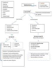 Enterobacteriaceae Flow Chart Escherichia Coli Shigella