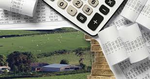 What Business Support Grants Are Available Due To Covid 19
