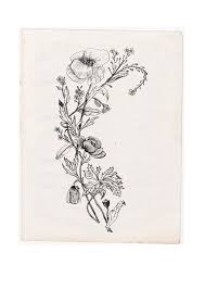 See more ideas about small tattoos, tattoos, cute tattoos. Black And White Wildflower Tattoo Google Search Floral Tattoo Sleeve Wildflower Tattoo Poppies Tattoo