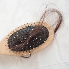 In growth (anagen), strands of hair push through the skin. The Pandemic Probably Caused Your Hair Loss The New York Times