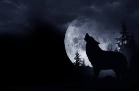 Wolf Names 300 Wonderful And Wild Wolf Inspired Names Perfect Dog Breeds These names will help you find the most. wild wolf inspired names