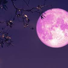 Conoce aquí a qué hora y cómo ver la superluna de fresa. I53ud75lhjxo7m