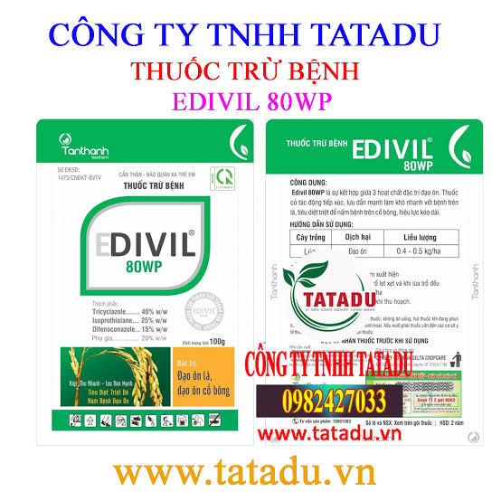 Edivil 80WP