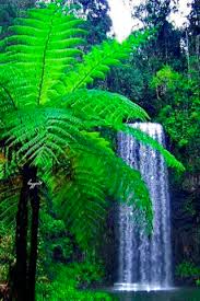 Gif 39 S Amp Fantasy Art Waterfall Cellphone Wallpaper Paper Cactus