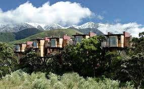 Bildergebnis für cool tree houses